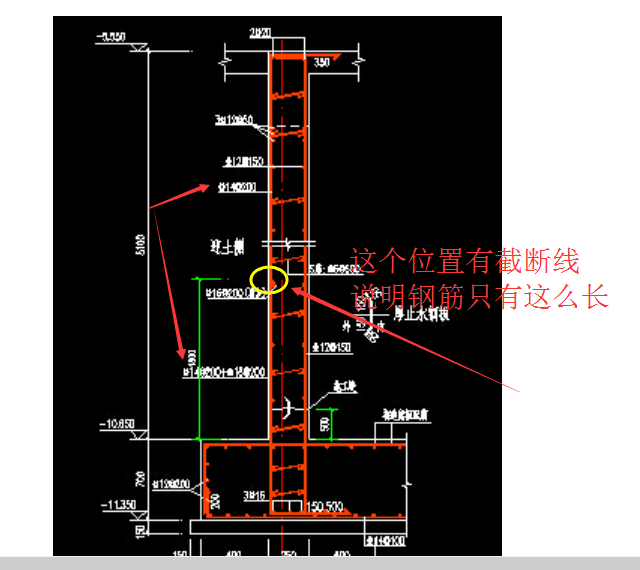 分布筋