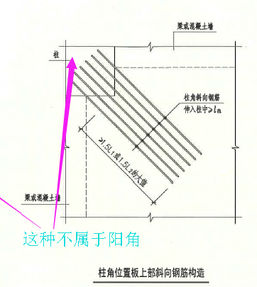 放射筋