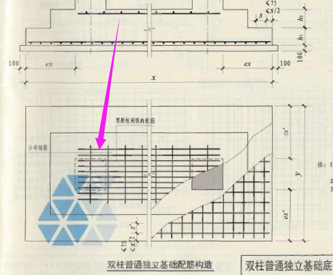 分布筋