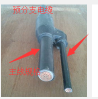 系數(shù)