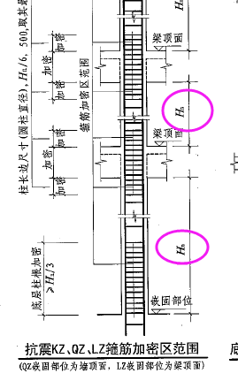 顶梁