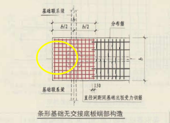分布筋