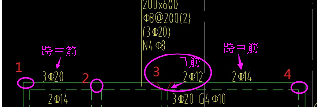 分支