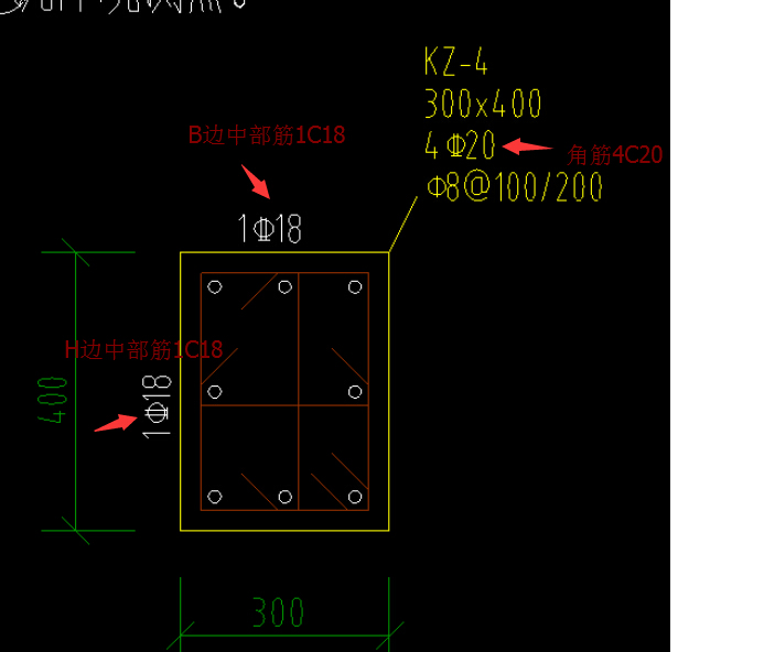 纵筋