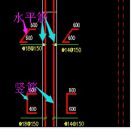 分布筋