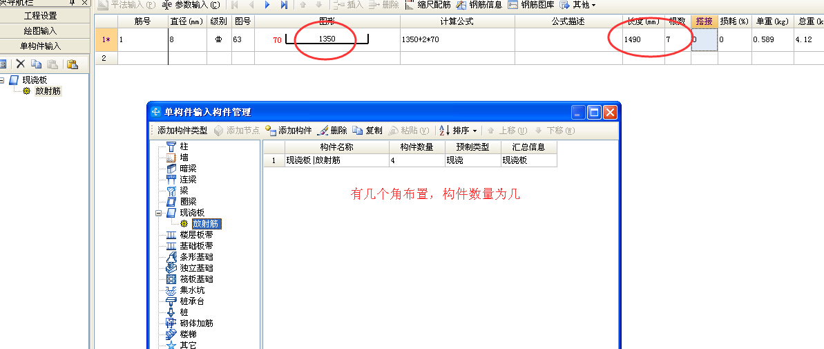 放射筋