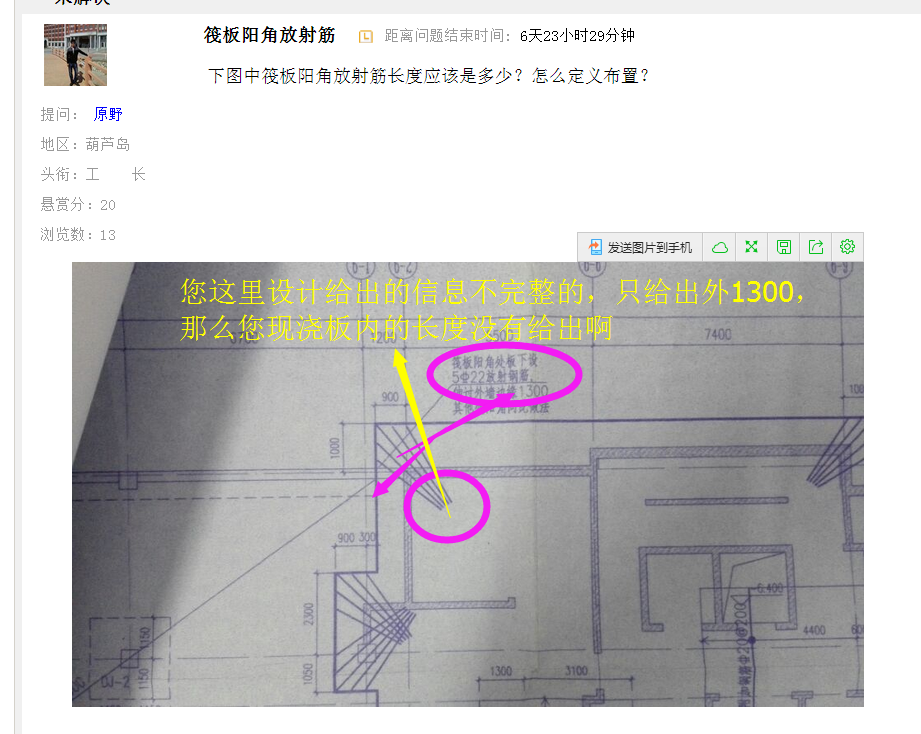 放射筋