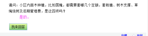 国槐