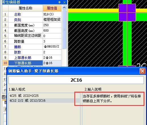 通長筋