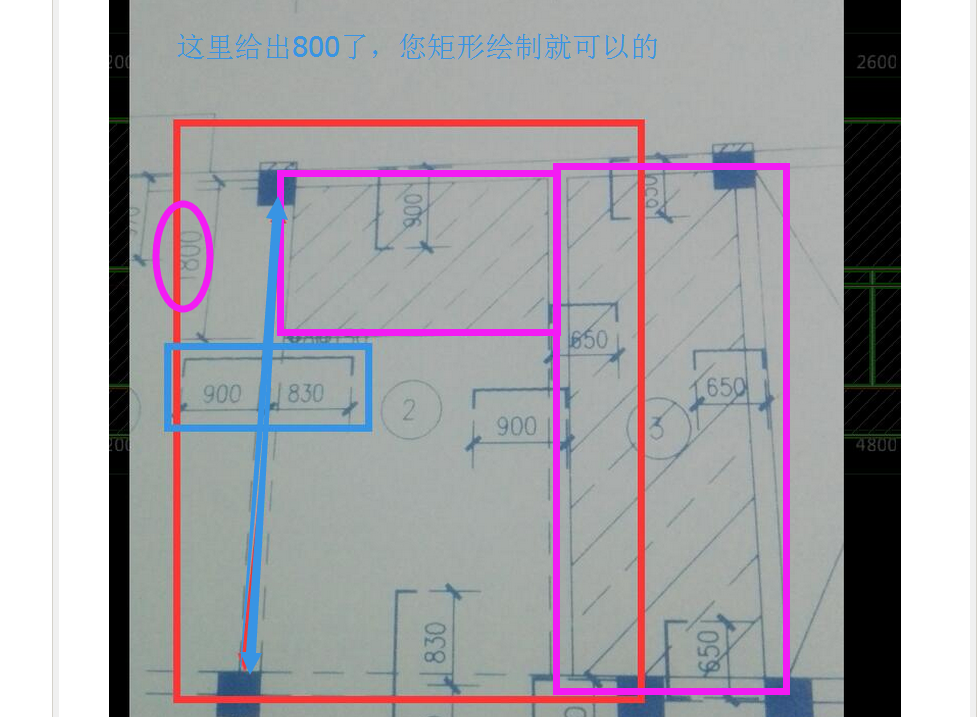 分布筋