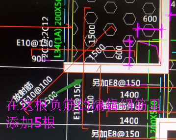 放射筋