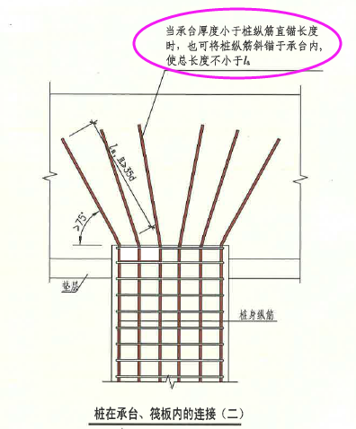 端部