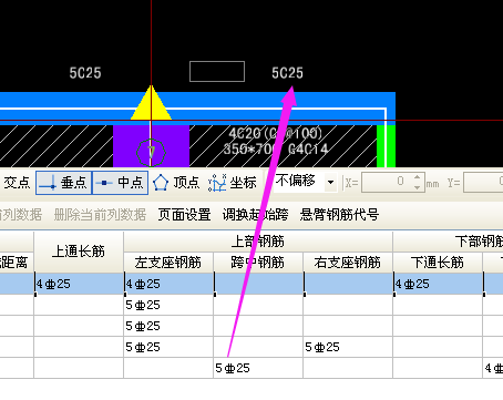 右支座钢筋