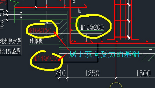 分布筋