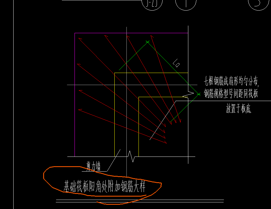 放射筋