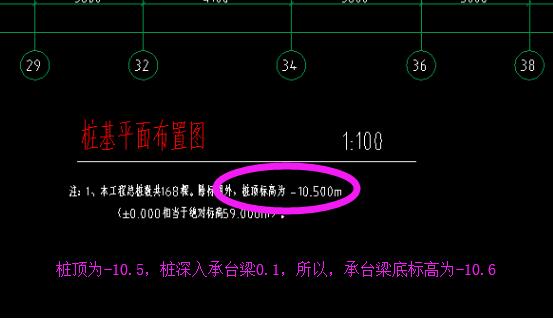 基礎頂標高