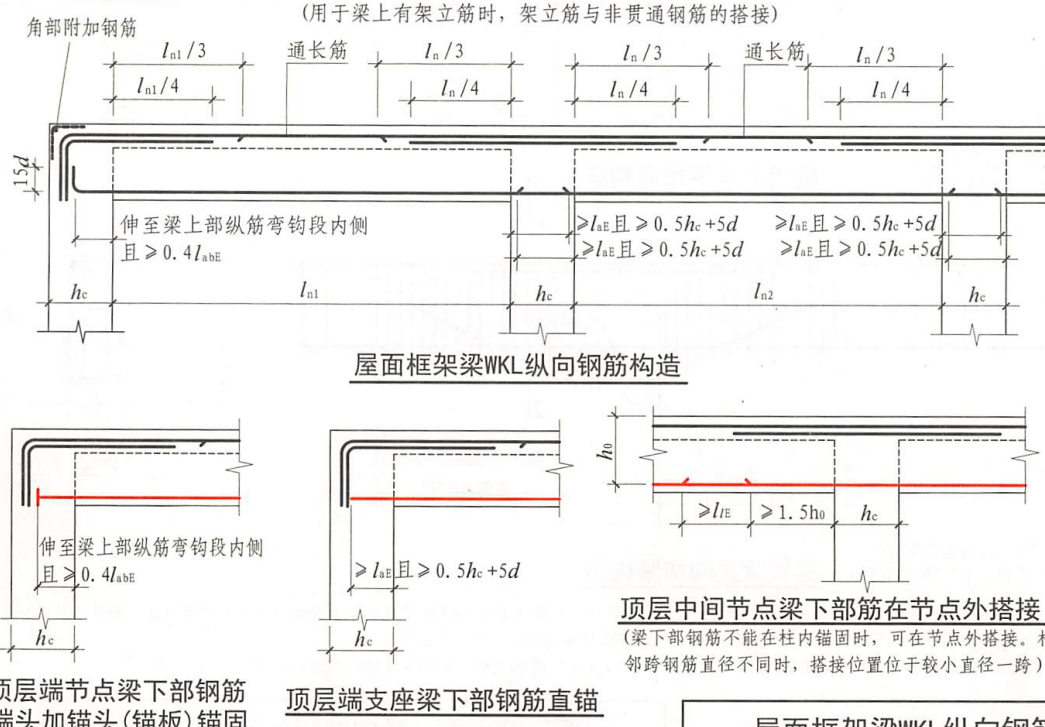縱向