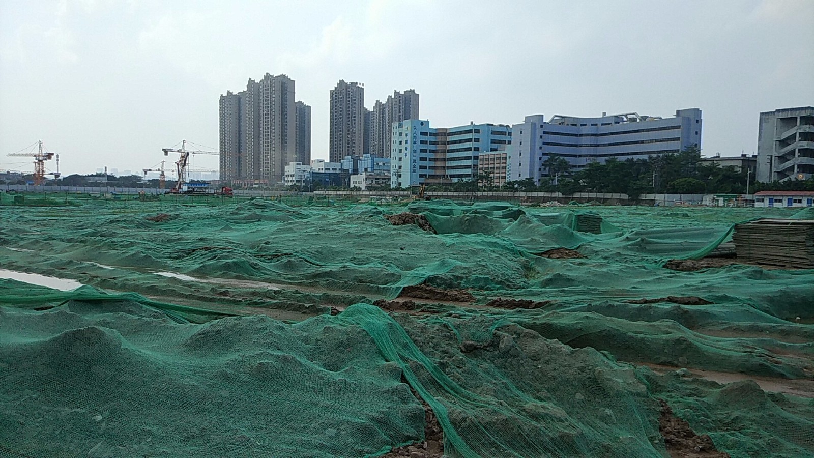 定額措施