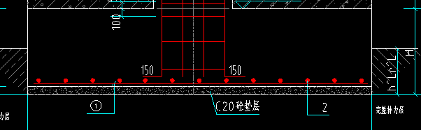 分布筋