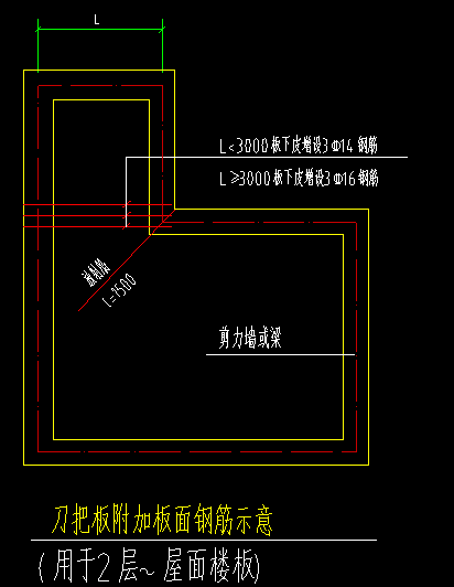 放射筋