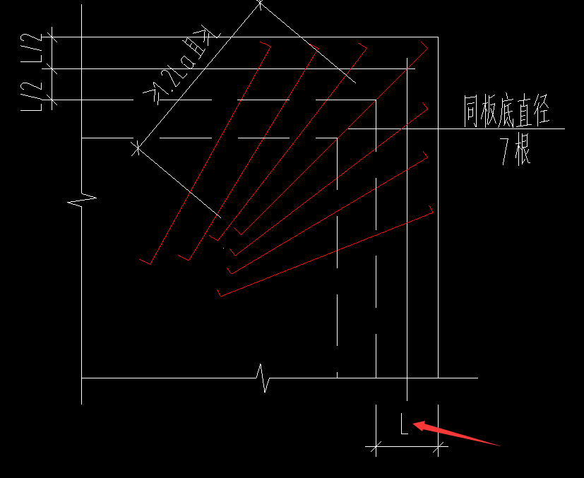放射筋