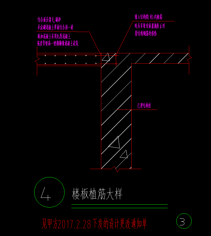 頂板