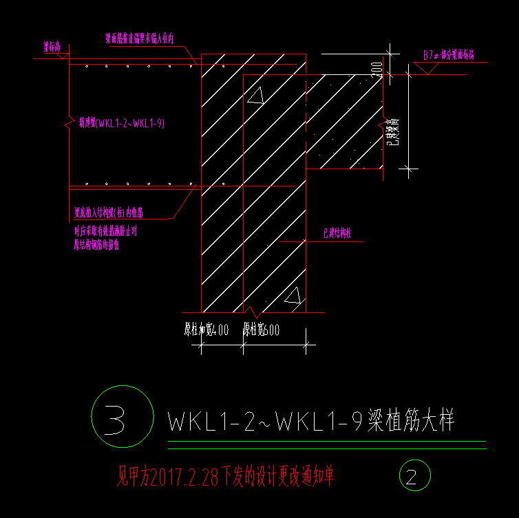 植筋怎么設(shè)置