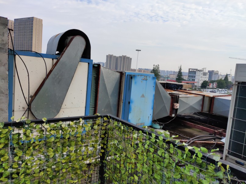 屋頂