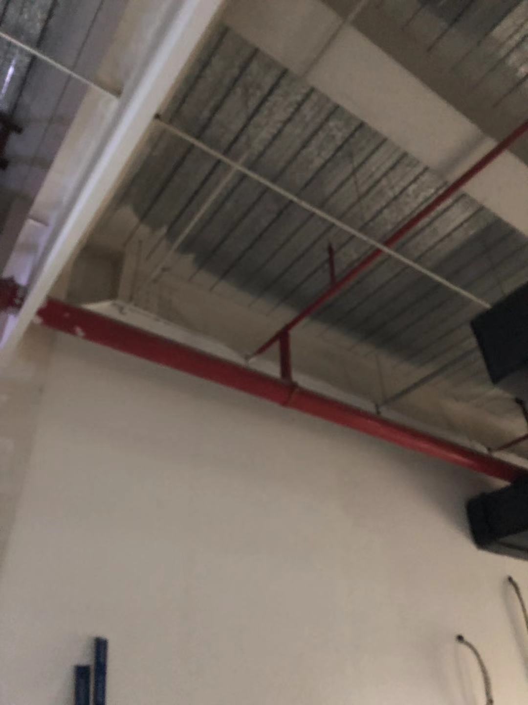 立管