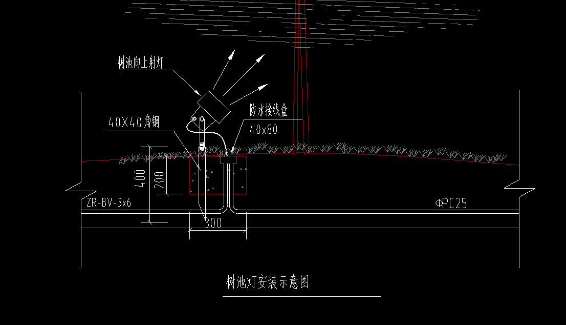 樹池