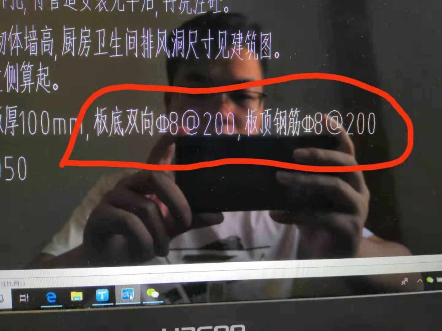 板頂筋