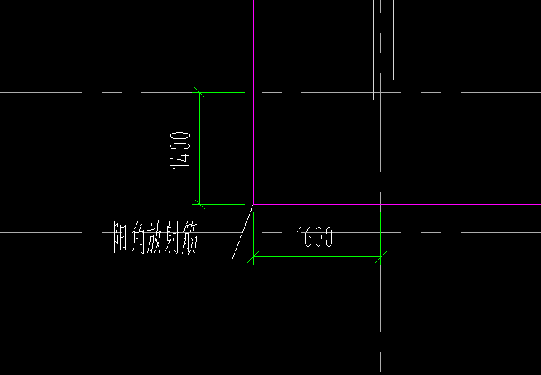 放射筋