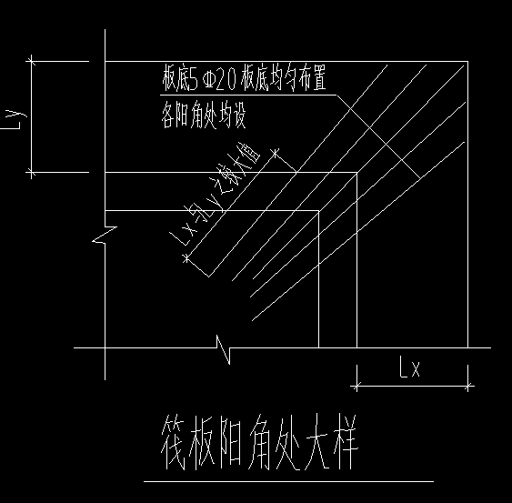 放射筋