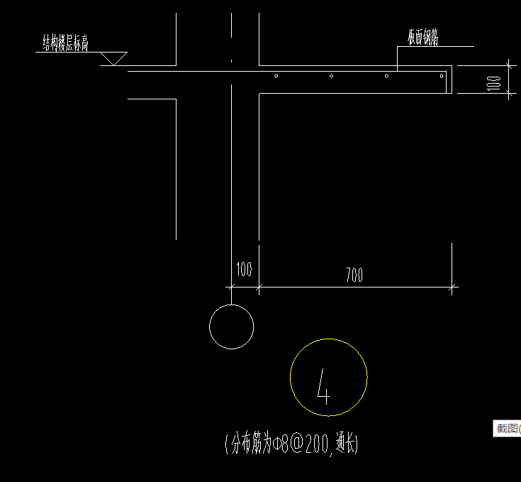 分布筋