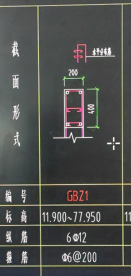分布筋