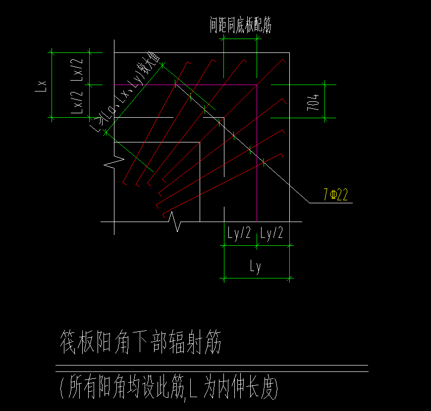 放射筋