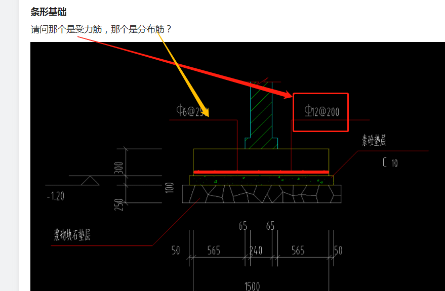 分布筋