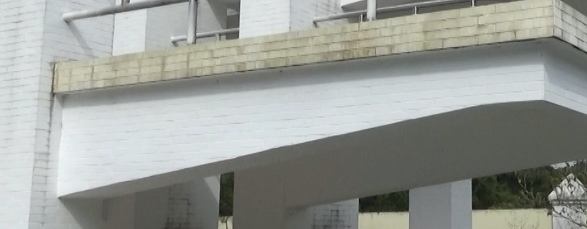 挑梁