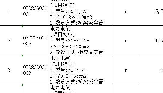 項目編碼
