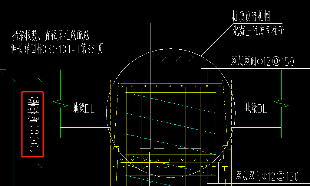 柱帽