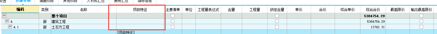 項目特征
