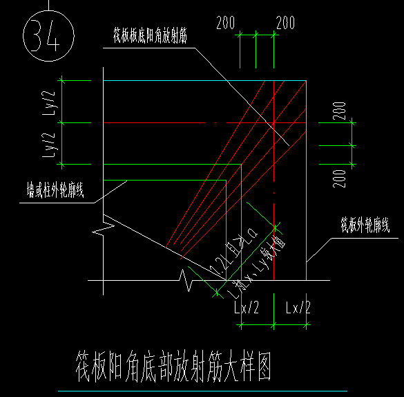 放射筋