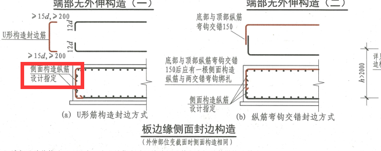 縱筋