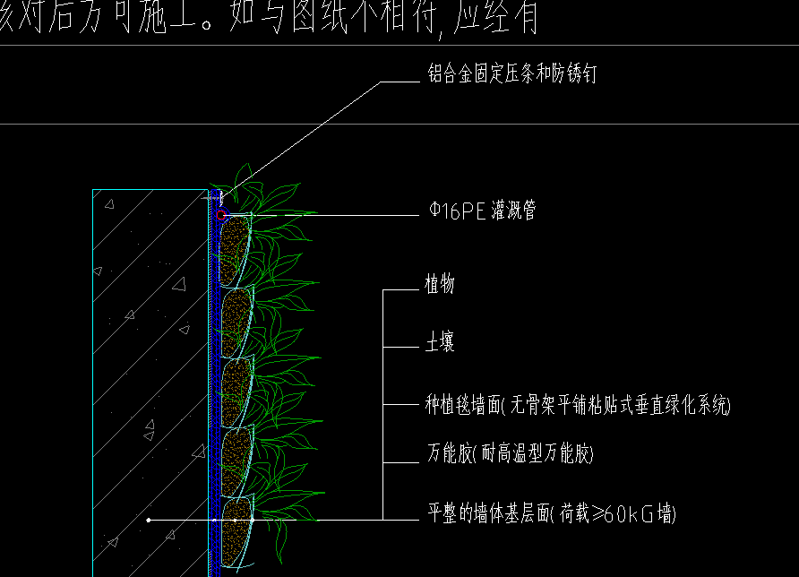 植被