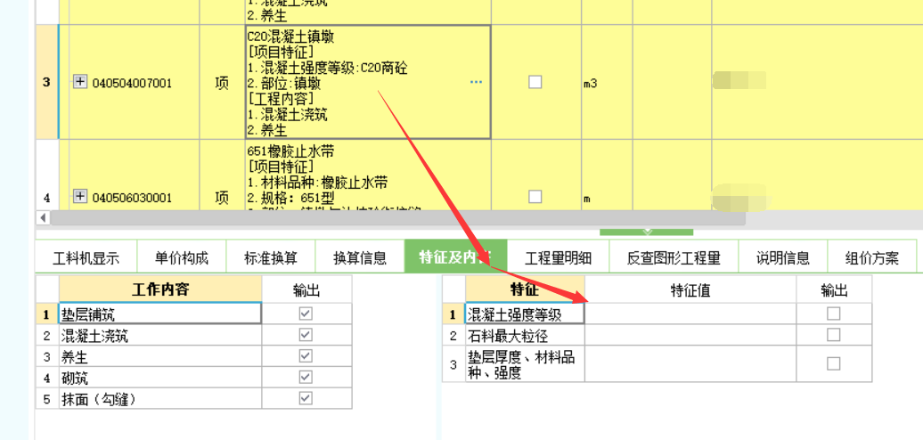 項目特征