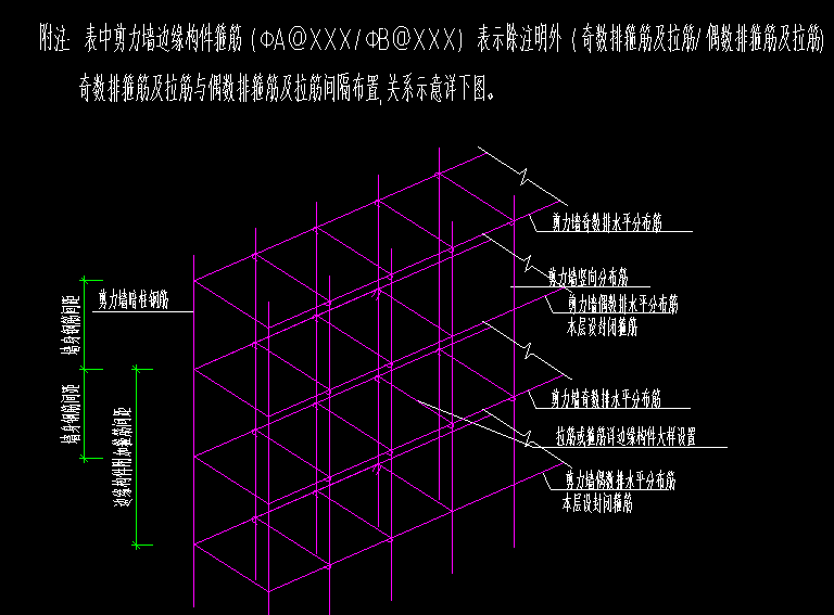 分布筋