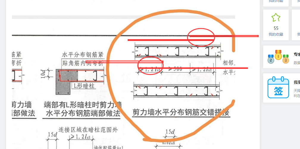 分布筋