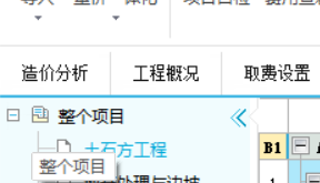 整個項目