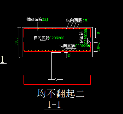 分布筋