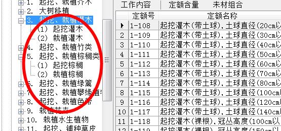 苗木移植